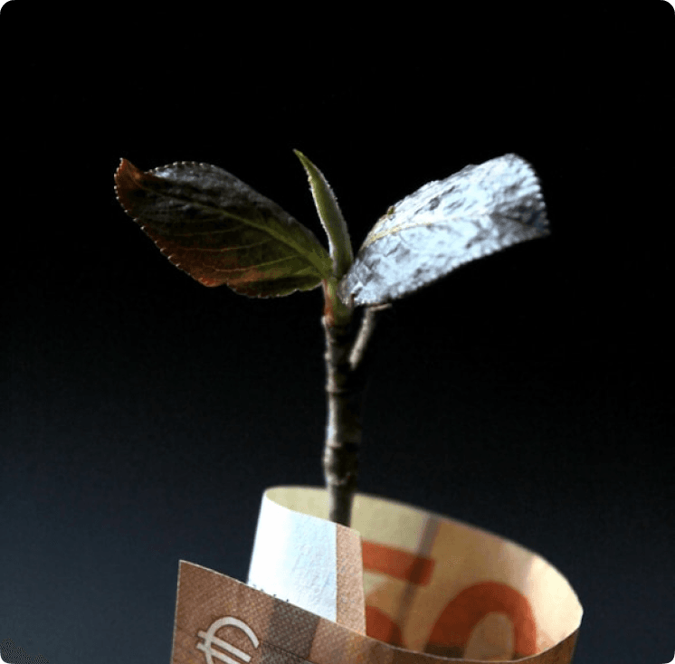 Navigating Volatility in Emerging FX Markets